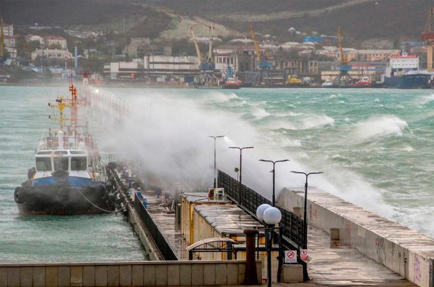 РЗС: отгрузки российского зерна из-за шторма в Черном море могут снизиться в ноябре до 4 млн тонн