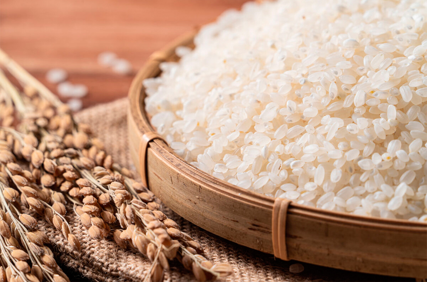 Минсельхоз РФ предложил продлить запрет на экспорт риса из России на полгода