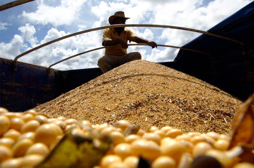 Благодаря рекордному урожаю Бразилия может экспортировать в 2023 году более 100 млн тонн сои
