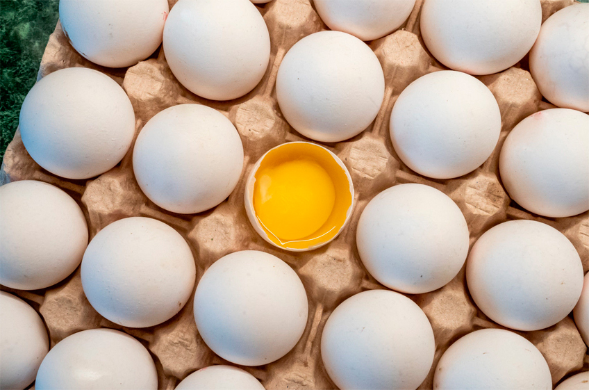 ФАС проводит антикартельные проверки 12 производителей куриных яиц и мяса кур