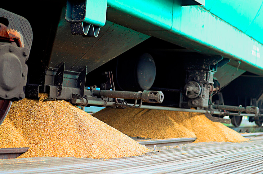 В январе-октябре экспорт зерна по сети РЖД вырос в 1,8 раза