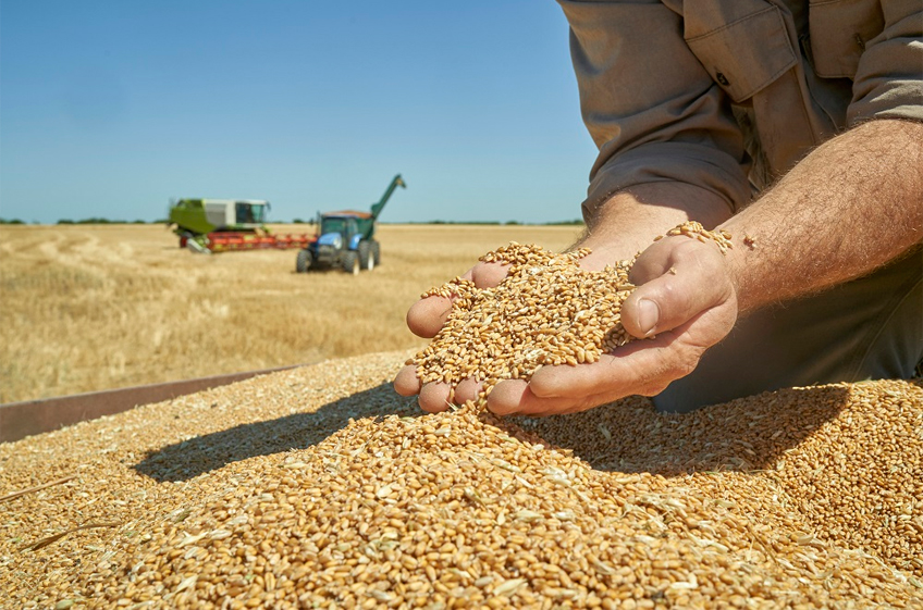 Минсельхоз РФ предложил вводить запрет экспорта зерна в случае снижения остатков до 10 млн тонн