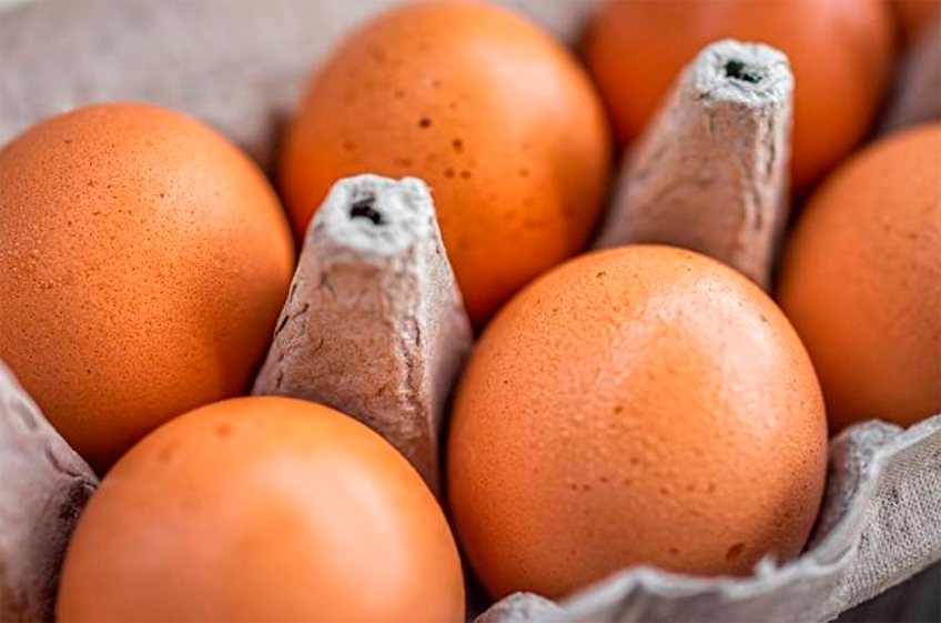 Минсельхоз РФ обдумает возможность обнулить пошлины на импорт яиц
