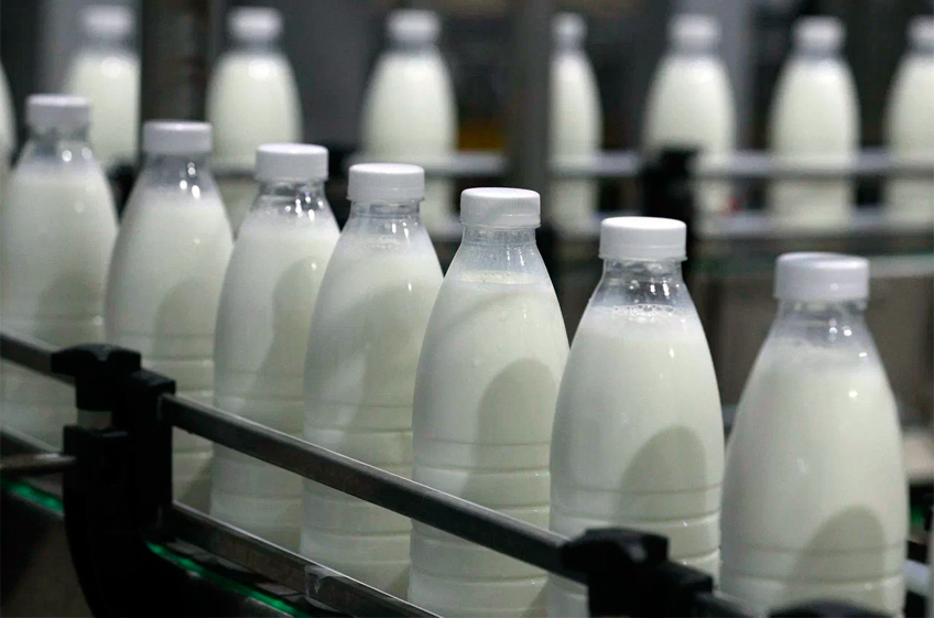 «Союзмолоко»: динамика экспорта молочной продукции из России в 2024 году будет положительной