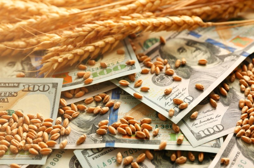 Мировые цены на зерно могут перейти к росту, на российском рынке прогнозируются скачки цен
