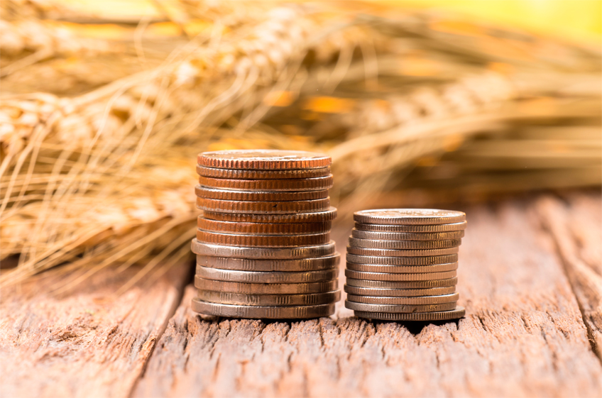 Сбербанк: темпы кредитования российского сельского хозяйства будут умеренными