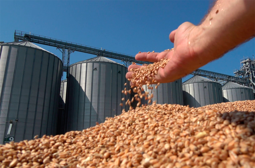 «ПроЗерно»: закупки зерна в российский госфонд не превысят 1,2-1,3 млн тоннv