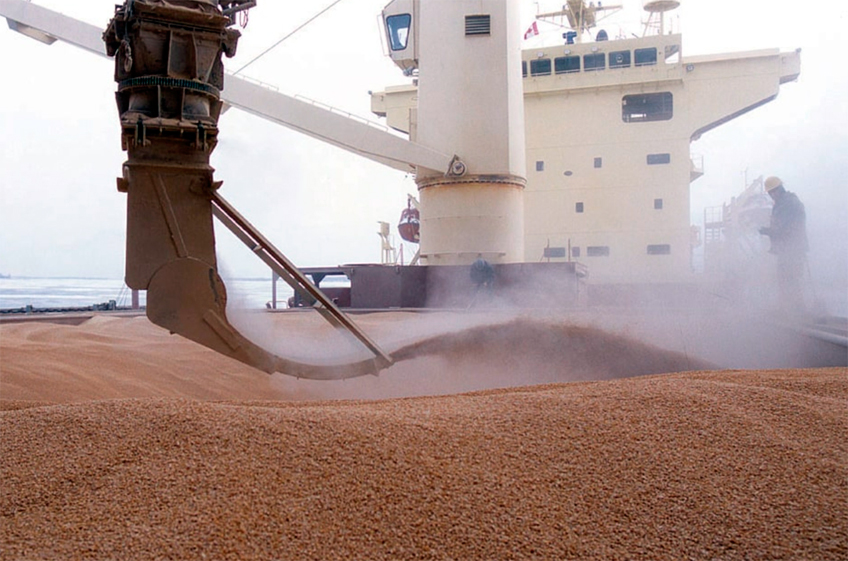 Экспорт пшеницы из России с начала сельхозсезона вырос на 11%v