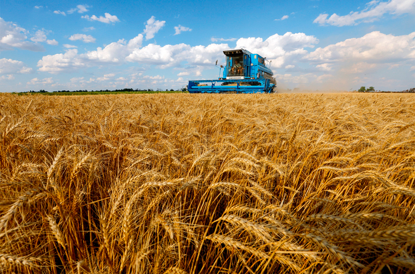 Эксперты пока не видят необходимости снижать прогнозы сбора зерна в России из-за паводка