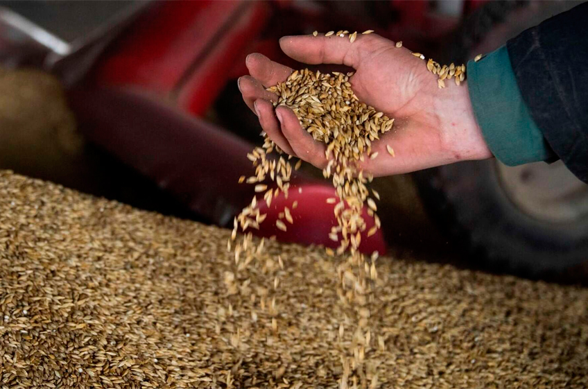Минсельхоз США сохранил прогноз экспорта пшеницы из России в текущем сезоне