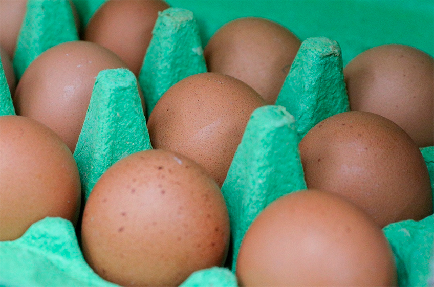 Россия уже получила 19,9 млн пищевых яиц из Азербайджана и Турции