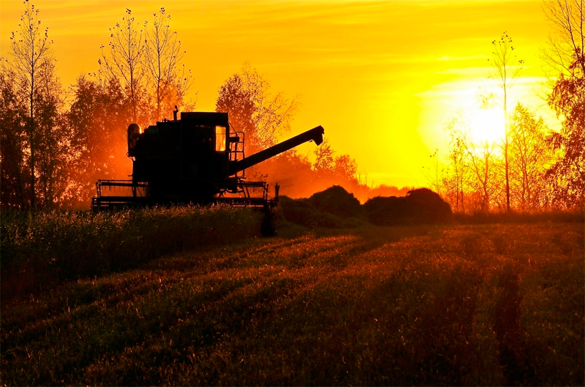 Минсельхоз РФ предлагает снизить ориентир темпов роста сельхозпроизводства в России с 3% до 1,5%
