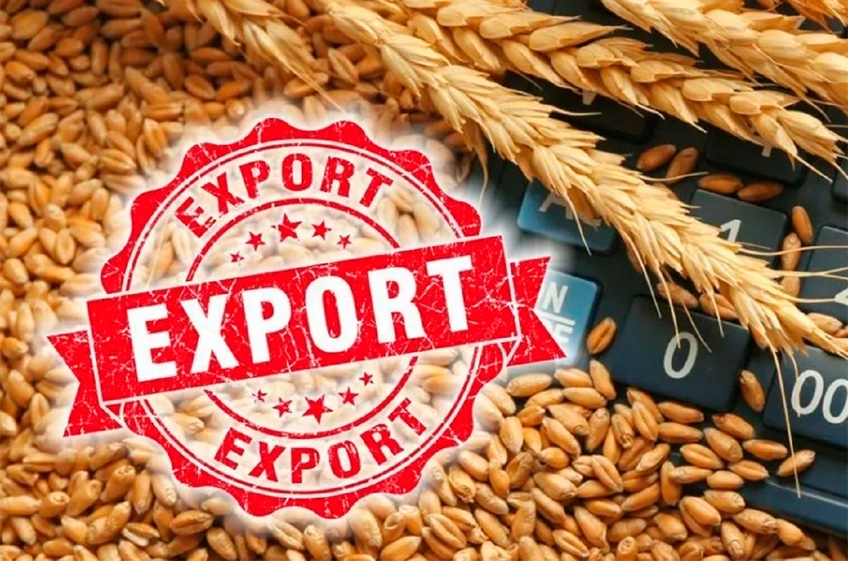 Пошлина на экспорт пшеницы из России с 28 февраля снизится на 3,9%, на ячмень — вырастет в 3 раза
