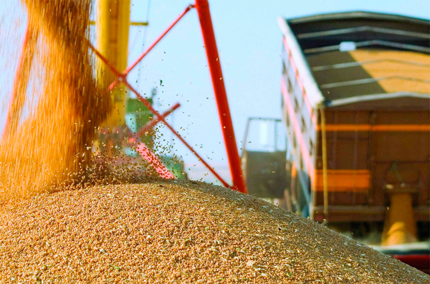 РЗС: Россия в январе увеличила отгрузки зерна на экспорт до 5,3 млн тонн