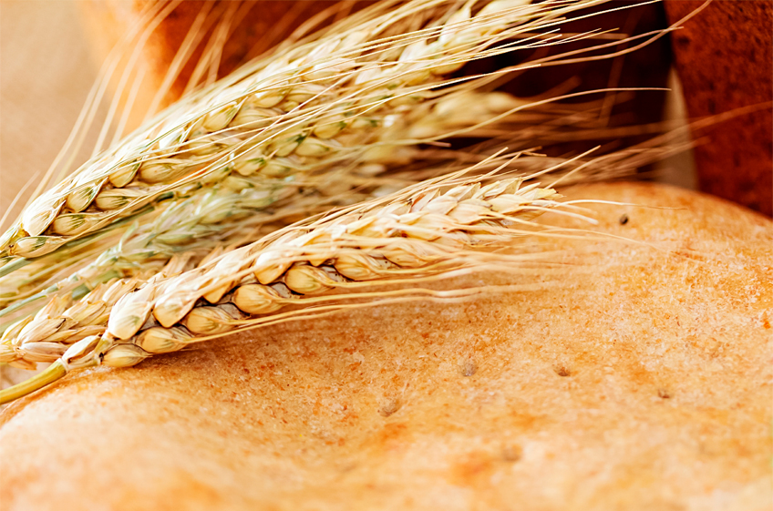 «СовЭкон»: запасы пшеницы в России достигли рекордного уровня