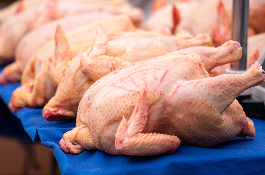 Минсельхоз РФ одобрил ввоз в Россию в рамках беспошлинной квоты 18,5 тонны мяса кур