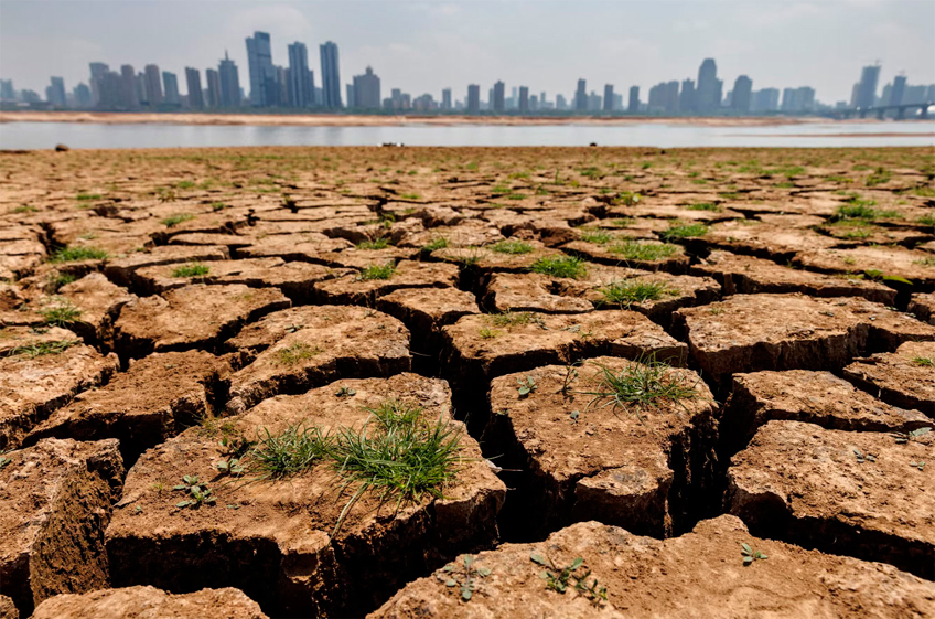 В Канаде в 2024 году ожидается очередная засуха