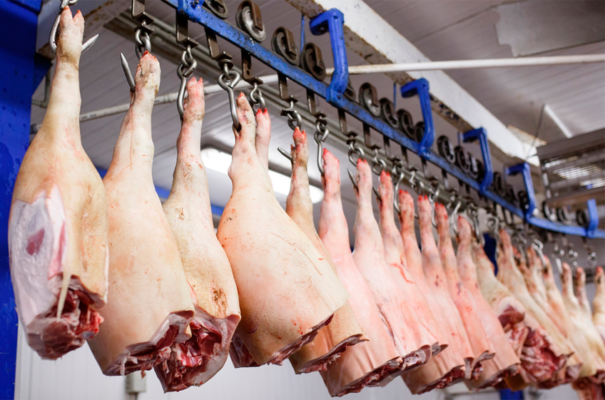 Производство свинины в Великобритании достигло пятилетнего минимума