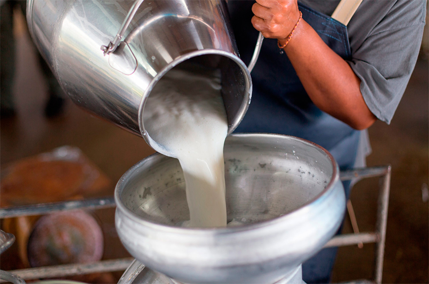 Производство молока в России в 2023 году выросло на 0,5 млн тонн