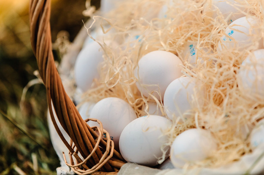 Белоруссия с начала 2024 года удвоила поставки яиц в Россию