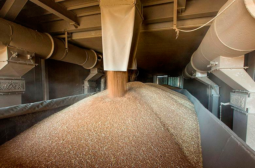 Закупки зерна в российский госфонд 18 января увеличились до 20,25 тыс. тонн