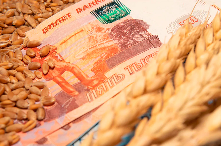 С 31 января пошлина на экспорт пшеницы из России повысится на 1,8%