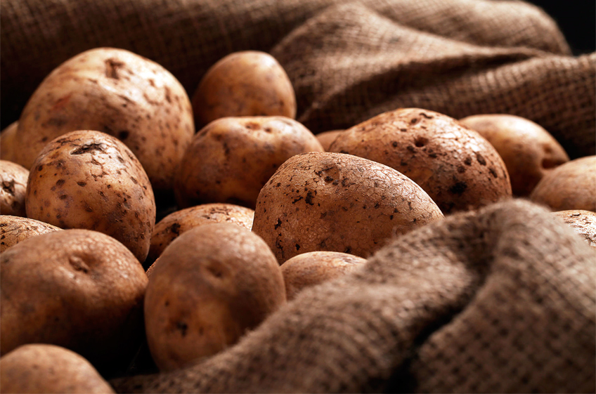 Российские ЛПХ продолжают лидировать по площадям картофеля, но за последние шесть лет посадки снизились на 23,7%