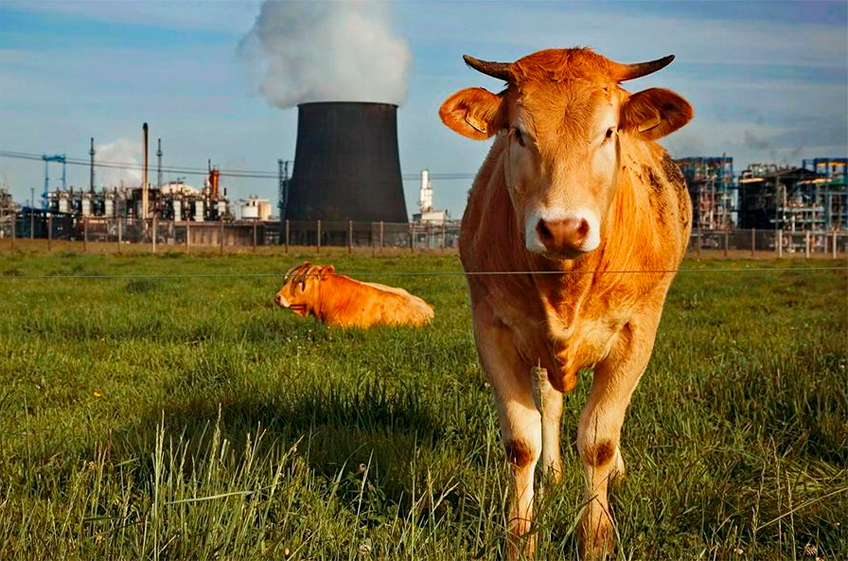 Российские производители мяса просят не включать АПК в число отраслей, отчитывающихся о выбросах парниковых газов