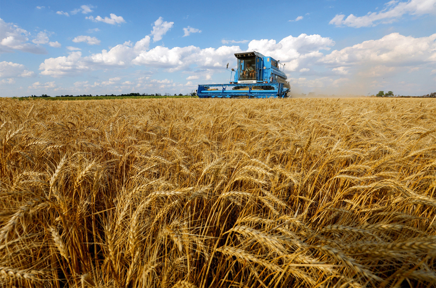 ИКАР повысил прогноз сбора пшеницы в России в этом году с 82 млн до 83,2 млн тонн