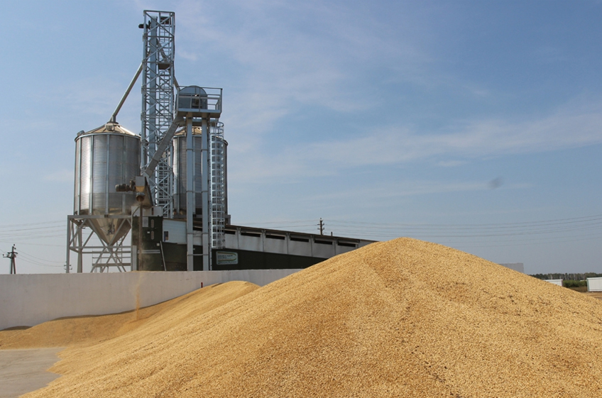 Росстат: запасы зерна в сельхозорганизациях России выросли на 29,2%