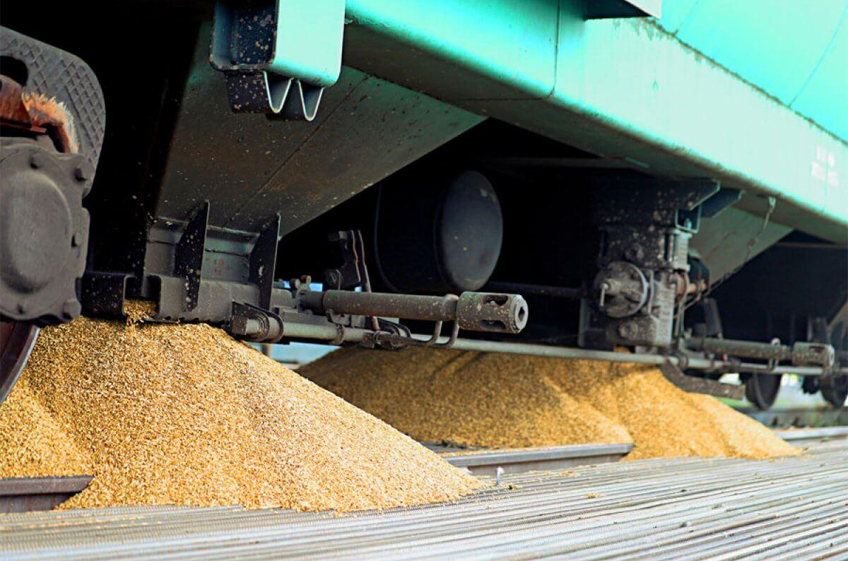 «Русагротранс»: экспортные цены на российскую пшеницу продолжают снижаться