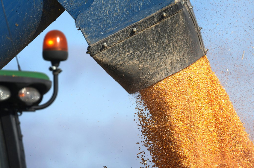 Экспорт зерновой продукции из России в прошлом сельхозсезоне превысил 89 млн тонн