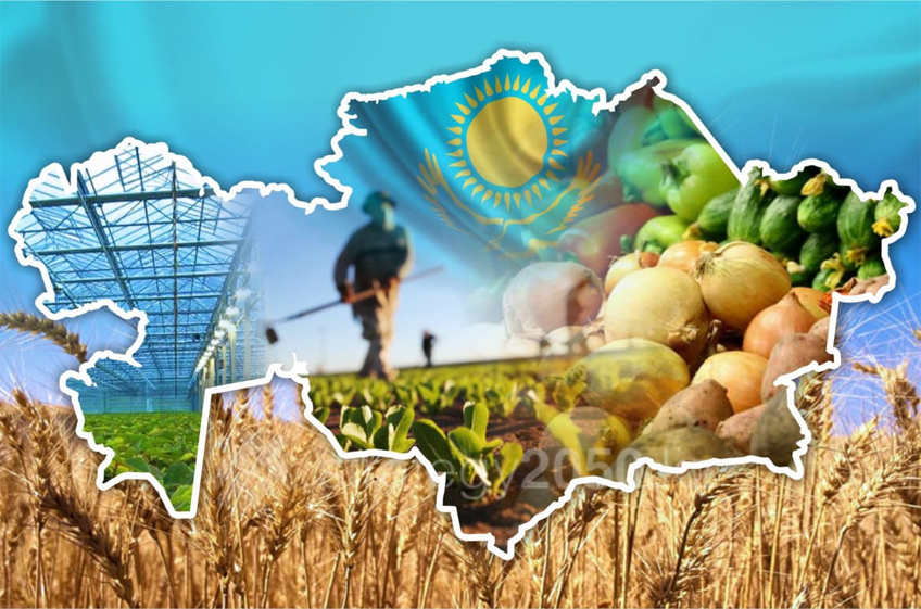 С начала 2024 года сельхозпроизводство в Казахстане выросло на 3,4%