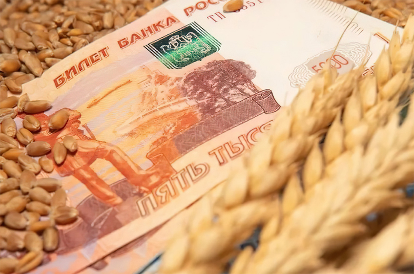 Экспортные цены на российскую пшеницу снижаются на протяжении семи недель