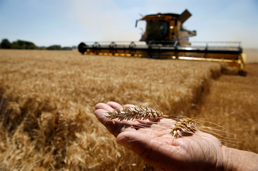 ФАО: сбор зерна в мире в 2024 году может составить рекордные 2,854 млрд тонн