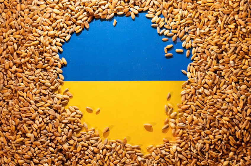За первую неделю нового сезона Украина экспортировала более 800 тыс. тонн зерна