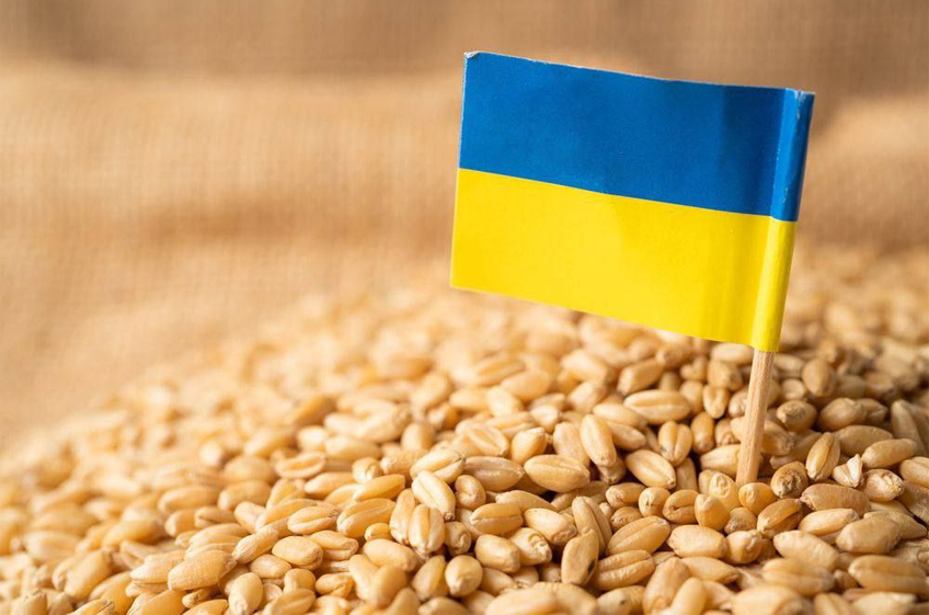 В первые дни нового сезона Украина экспортировала 300 тыс. тонн зерна — почти в 10 раз больше, чем год назад