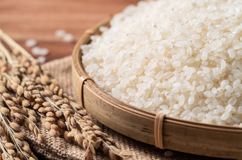 Правительство РФ продлило запрет на экспорт риса 