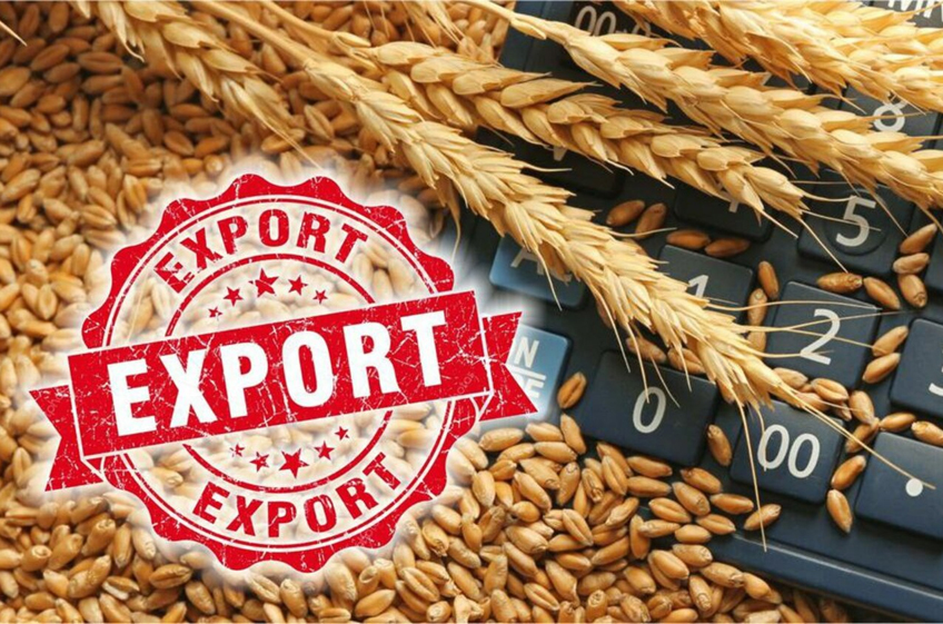 Пошлина на экспорт пшеницы из России с 10 июля понизится на 6,4%