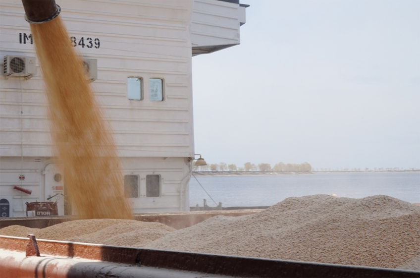 РЗС: в июне Россия снизила отгрузки зерна на экспорт на 12%