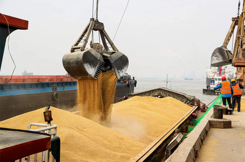 Россия с начала июня снизила отгрузки зерна на экспорт на 11%