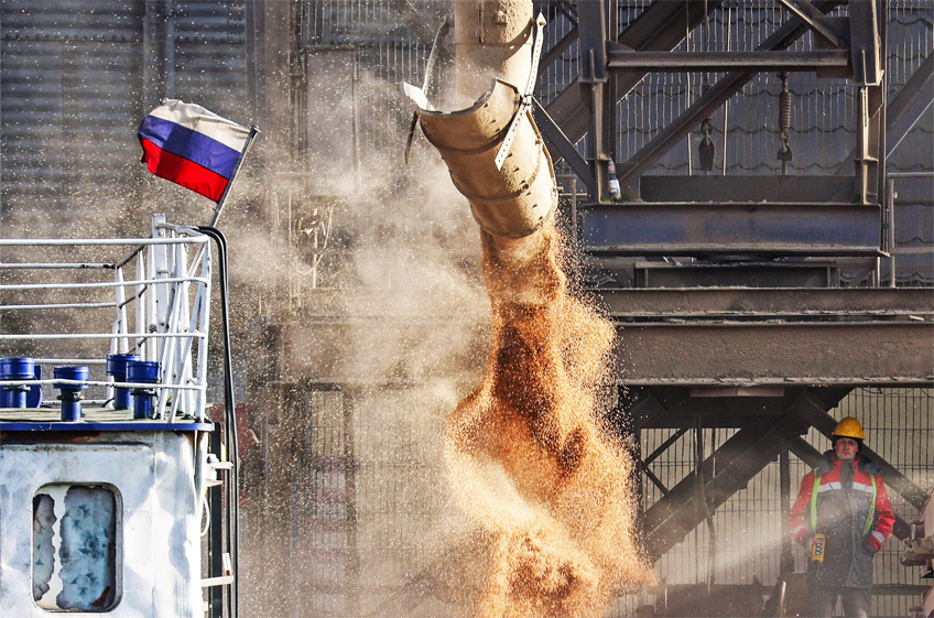 РЗС: отгрузка пшеницы на экспорт из России с 1 по 10 июня увеличилась на 1,3%