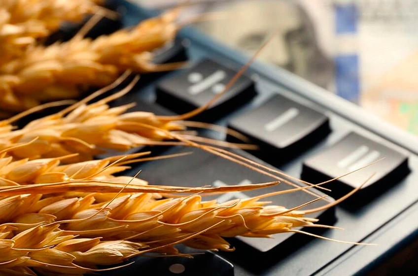 Пошлина на экспорт пшеницы из России с 26 июня снизится на 9,5%Пошлина на экспорт пшеницы из России с 26 июня снизится на 9,5%