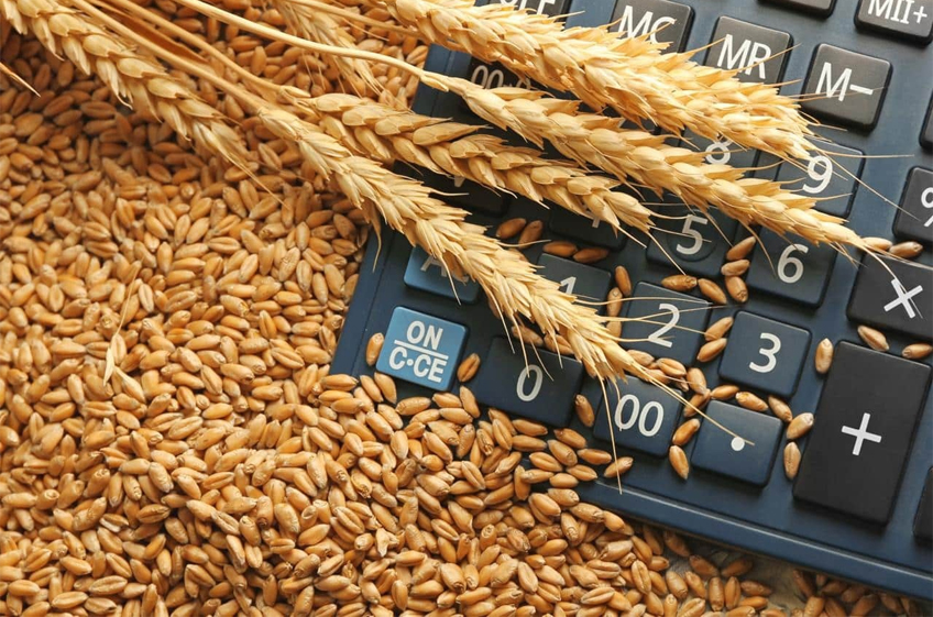 Пошлина на экспорт пшеницы из России с 5 июня снизится на 6,7%