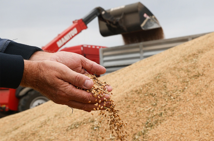 Как скажется на российском рынке временный отказ Турции от импорта пшеницы