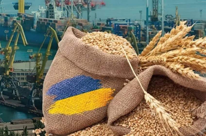 «СовЭкон» ожидает сокращения экспорта украинского зерна в новом сезоне
