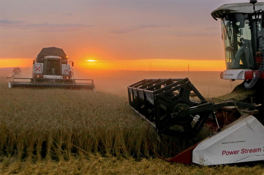 РЗС: сокращение урожая зерна в России может существенно ухудшить финансовое состояние аграриев