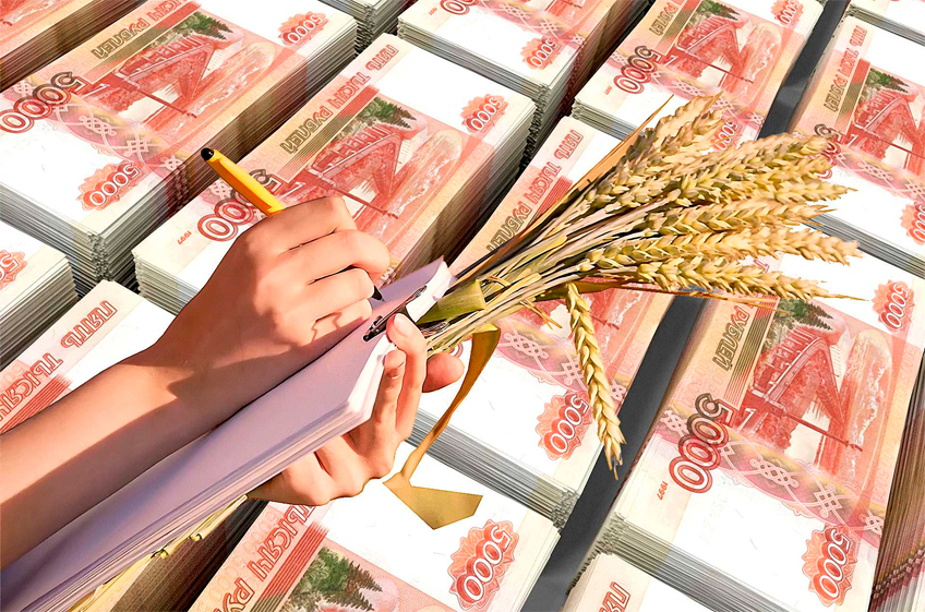 Правительство РФ выделит Минсельхозу средства на увеличение госзакупок зерна