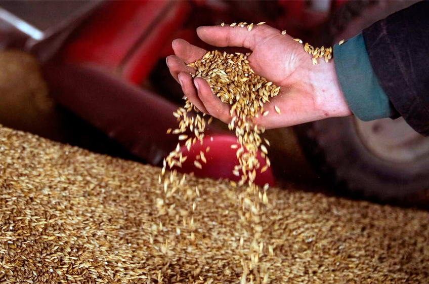 В ближайшее время будет принято решение о дополнительной квоте на экспорт зерна из России