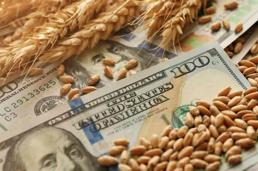 «СовЭкон»: экспортные цены на российскую пшеницу опустились ниже 200 долларов за тонну